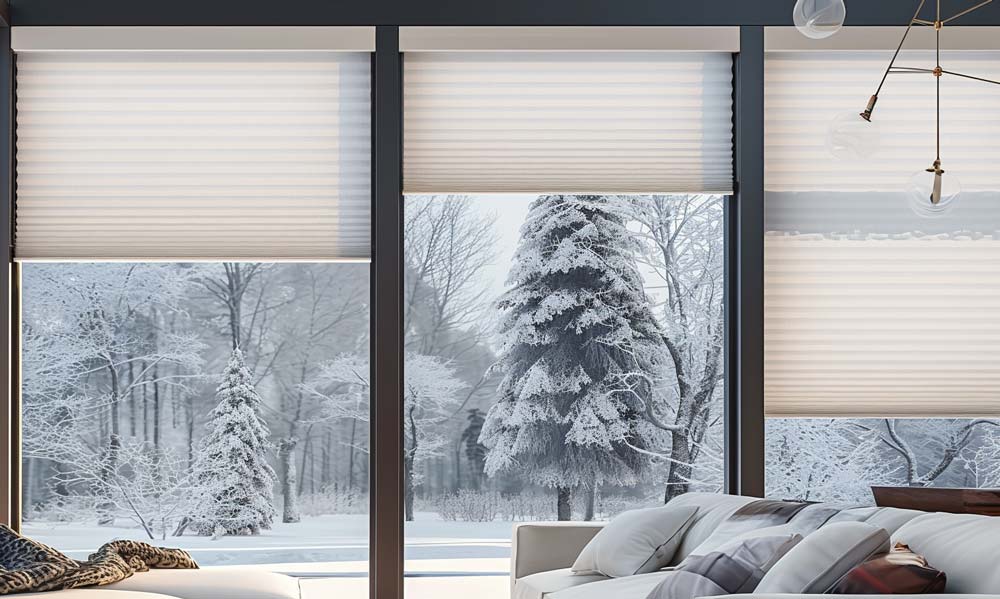 Snow-covered trees outside modern home with shades down