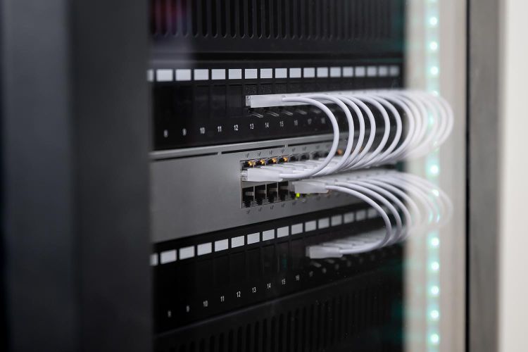 Close-up of neatly organized patch panel with labeled Cat 6 network cables